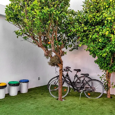 Bed & Breakfast Ilheu 25 House